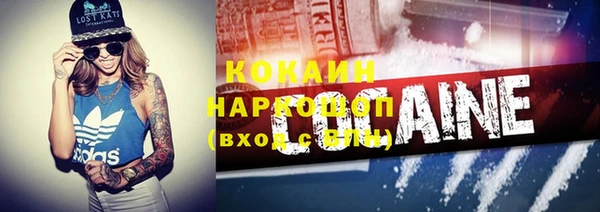 a pvp Болотное