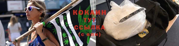 дурь Болхов