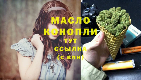 гидропоника Новозыбков