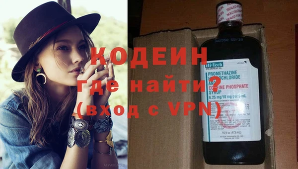 хмурый Абаза