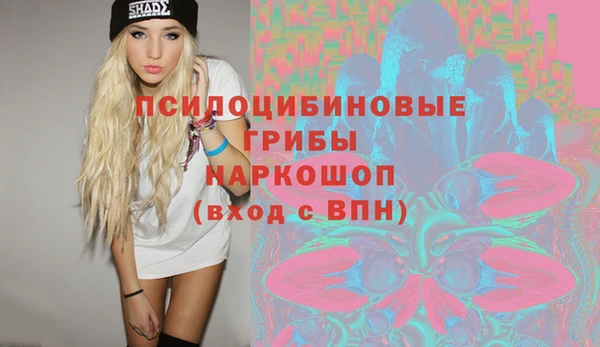 меф Новодвинск