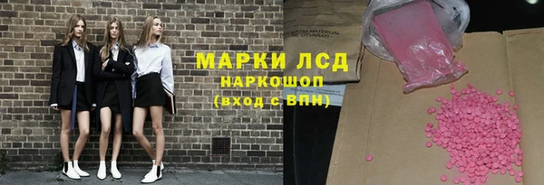 гидропоника Новозыбков
