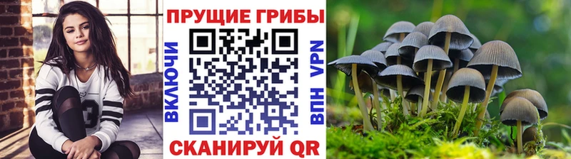 наркошоп  kraken ТОР  Псилоцибиновые грибы ЛСД  Судогда 