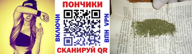 Шишки марихуана LSD WEED  Судогда 